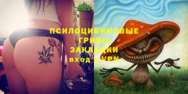 дживик Армянск