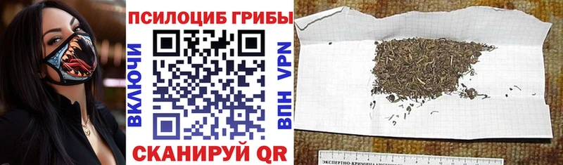 Галлюциногенные грибы ЛСД Калязин