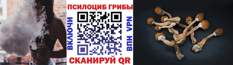 даркнет сайт  Калязин  Псилоцибиновые грибы Psilocybine cubensis 
